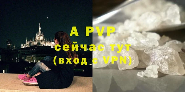 ГАЛЛЮЦИНОГЕННЫЕ ГРИБЫ Медвежьегорск