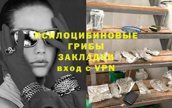 ГАЛЛЮЦИНОГЕННЫЕ ГРИБЫ Горняк